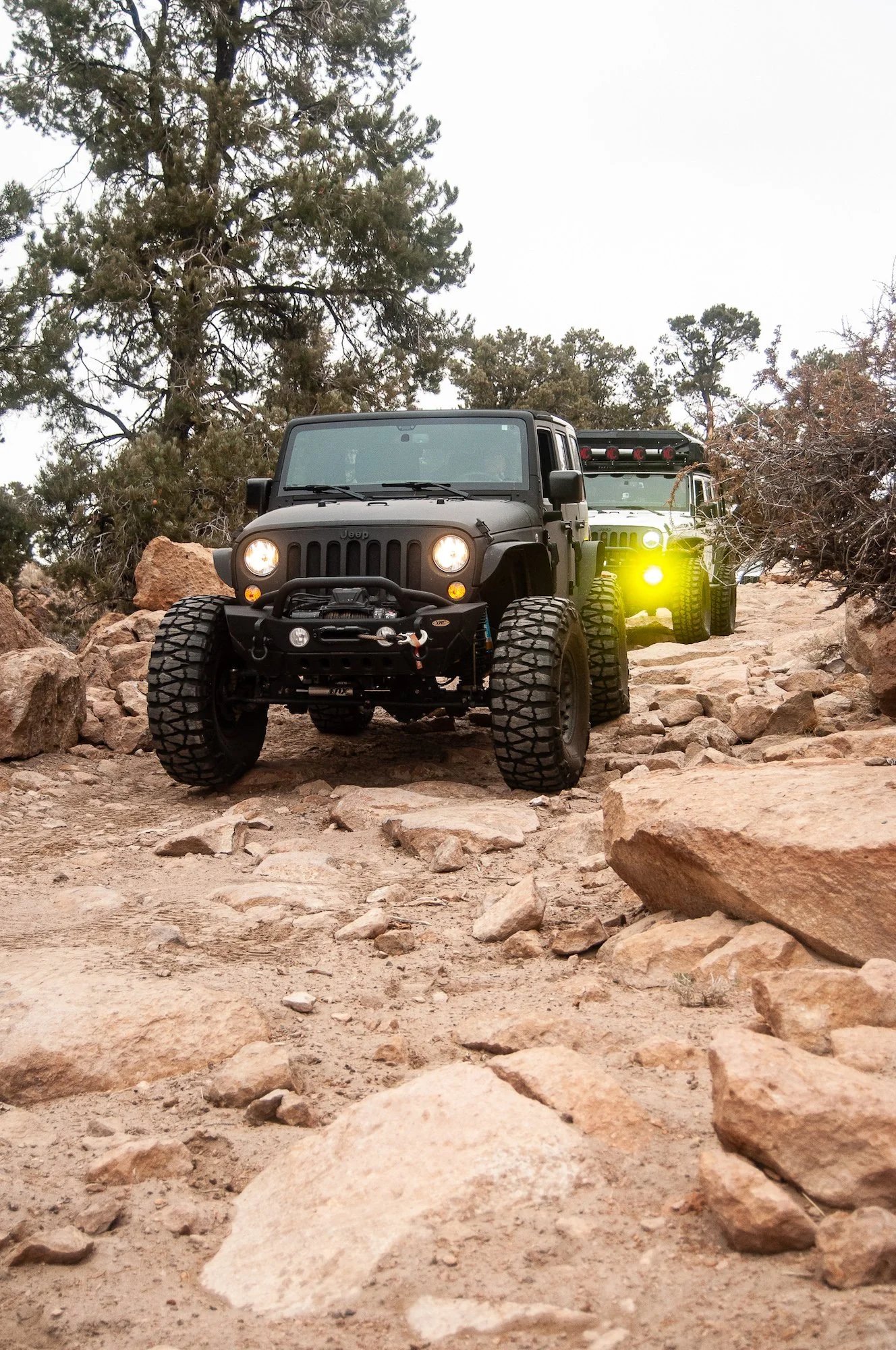 Two Jeeps navigating a rocky trail through trees