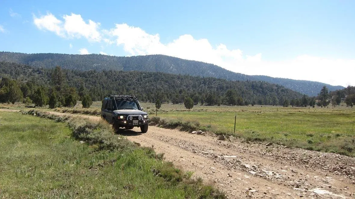 Land Rover Discovery II driving along a meadow trail