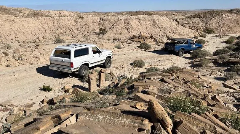 Old Ford Bronco and Toyota drive a sandy trail